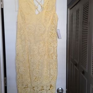 Nwt Yellow lace daisy dress Size 16